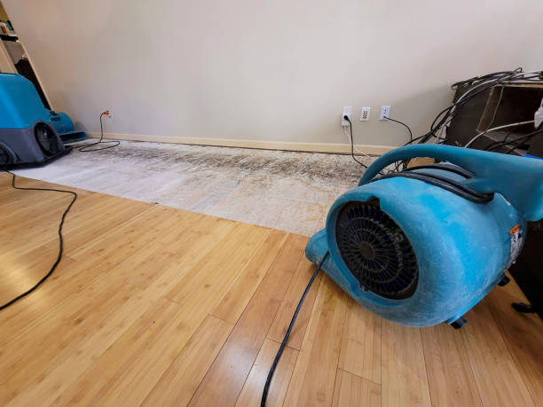 Professional Basement Flood Cleanup technician working in Shepherd, MI
